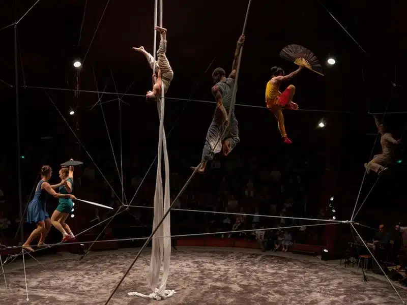 Les plus beaux spectacles de cirque à Marseille et dans la région Provence Alpes et Côte d'Azur