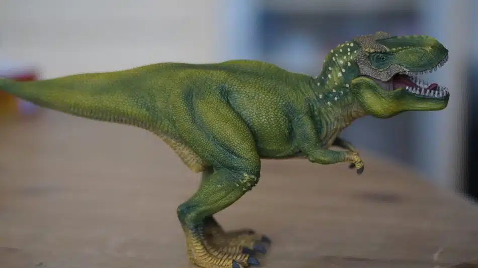 Idées de cadeau pour un enfant fan de dinosaures...